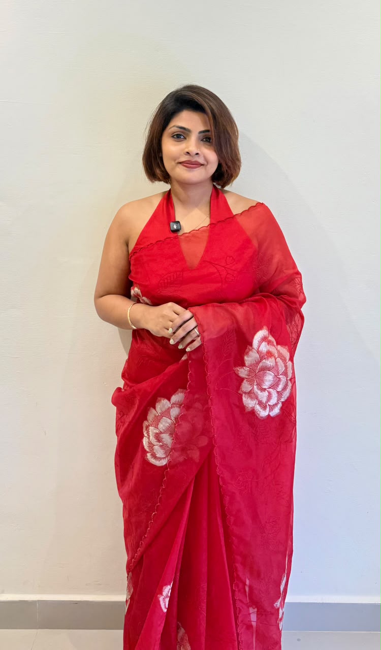 SEMI ORGANZA SAREE WITH TISSUE APPLIQUE